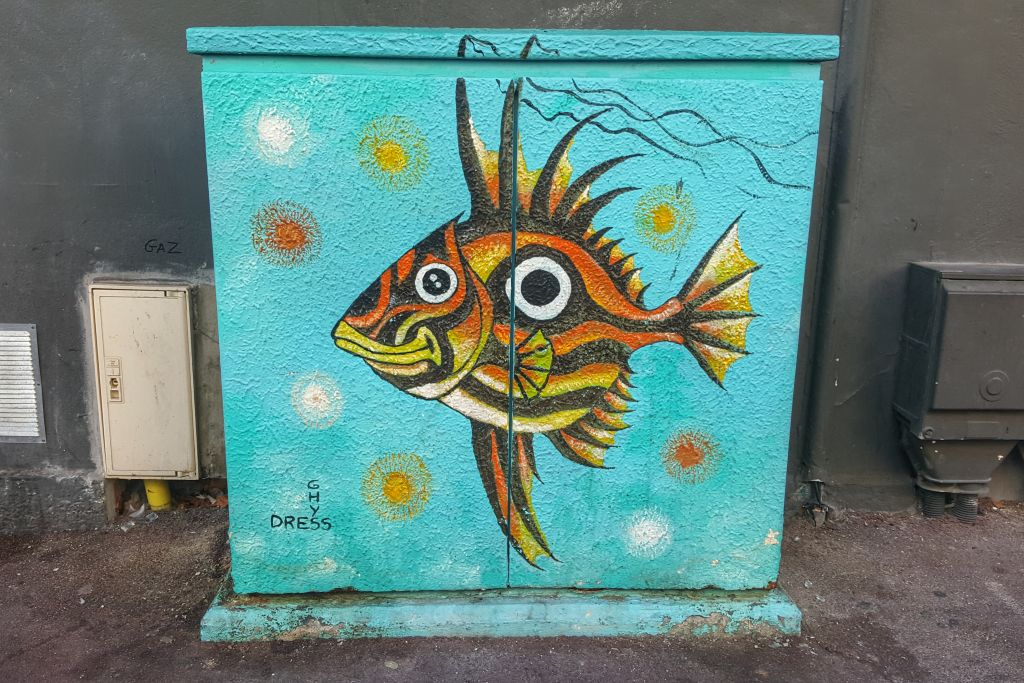 Elektriciteitskastje street art Boulogne-sur-Me