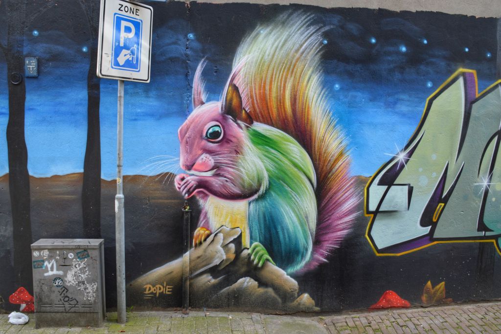 Eekhoorn Dopie Arnhem