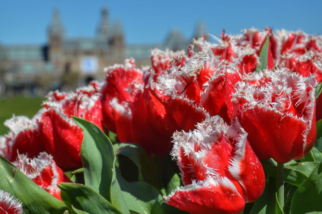 Rijksmuseum Amsterdam