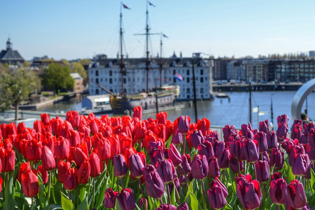 Dakterras NEMO Amsterdam