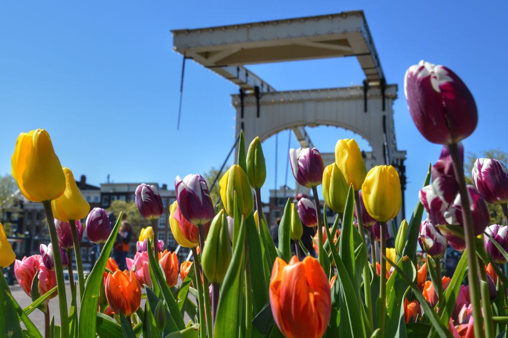 Magere Brug Amsterdam