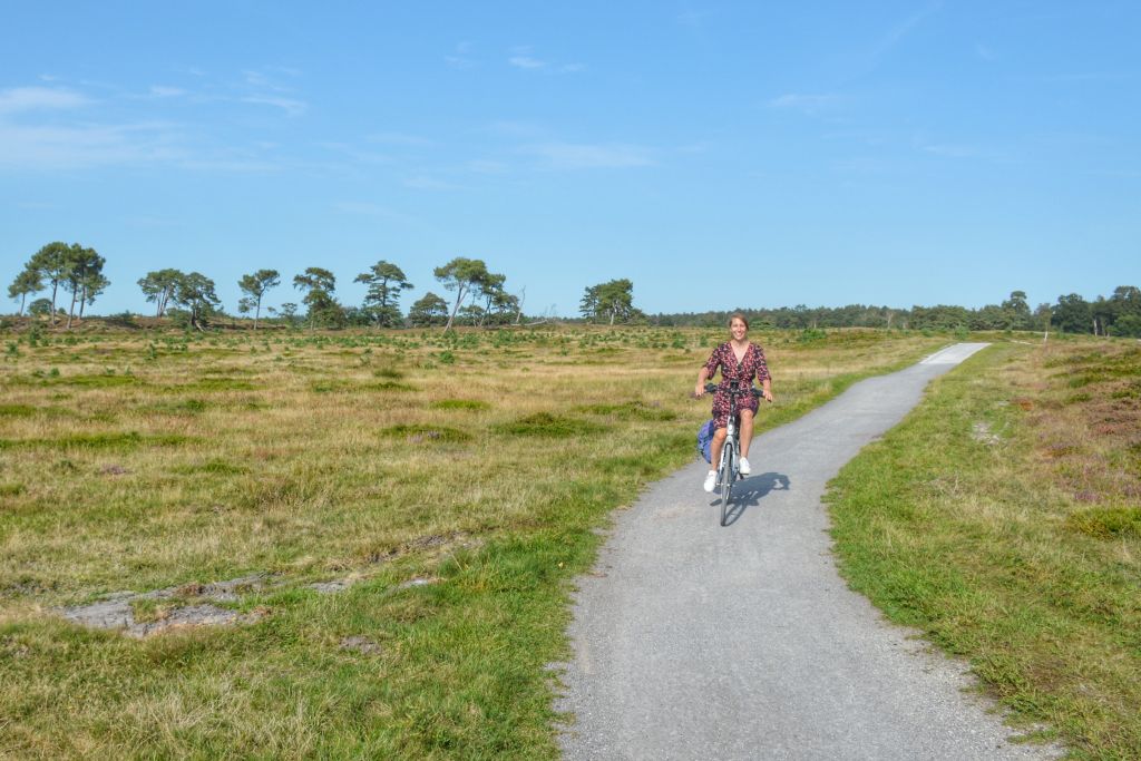 Fietsen Drents-Friese Wold