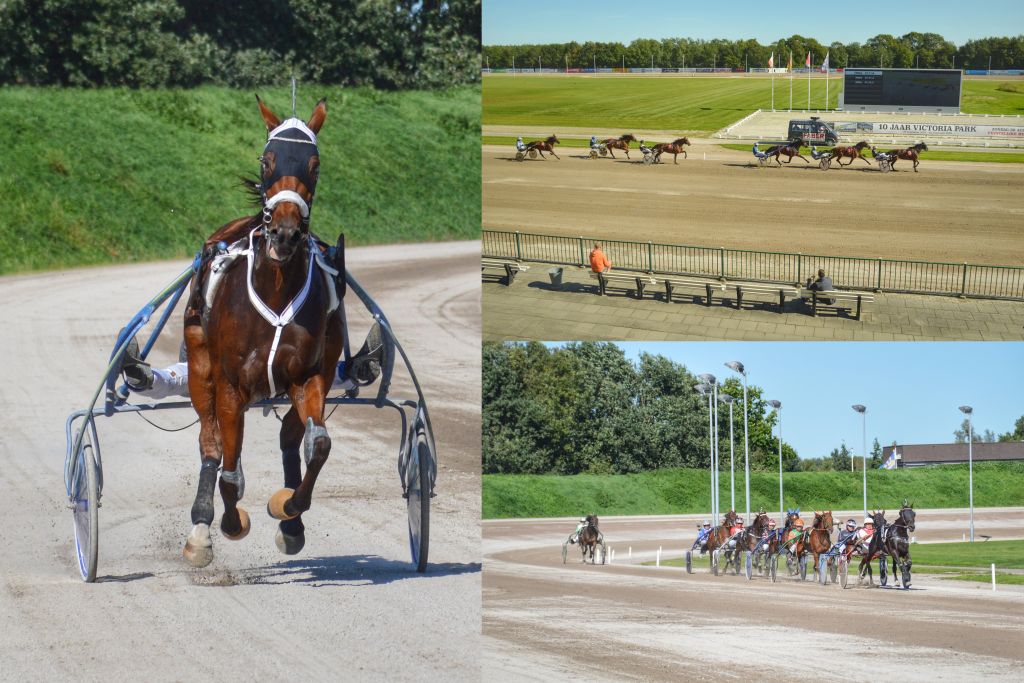 Drafbaan Victoria Park Wolvega