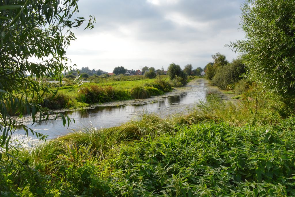 Natuurgebied de Rottige Meente