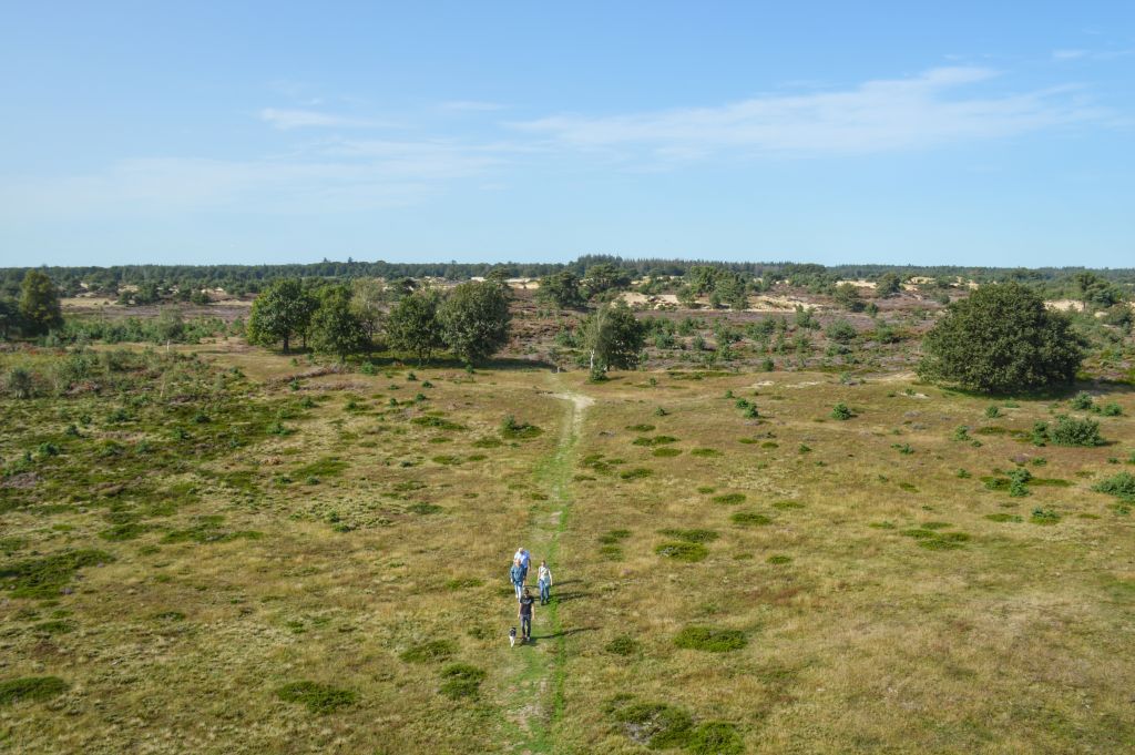 Nationaal Park Drents-Friese Wold