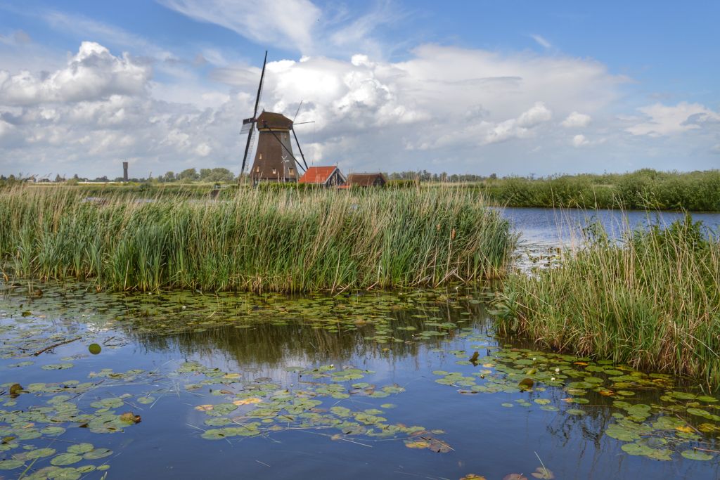 Kinderdijk