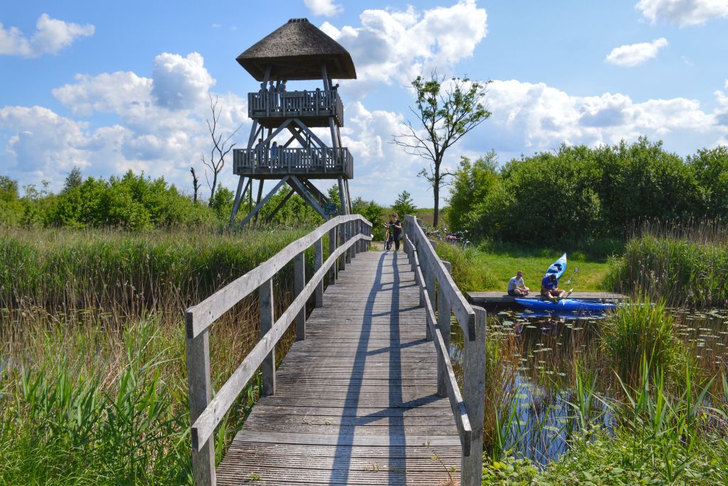 Uitkijktoren Alde Feanen