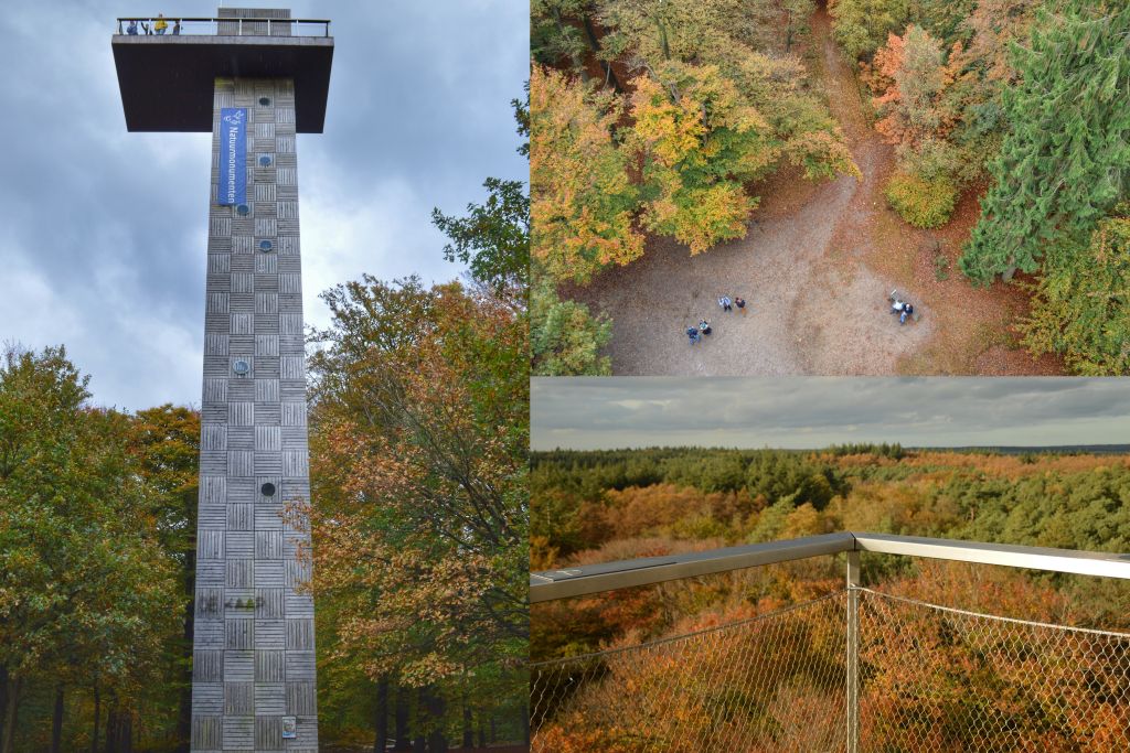 Mooie uitzichtpunten Utrechtse Heuvelrug: Uitkijktoren de Kaap