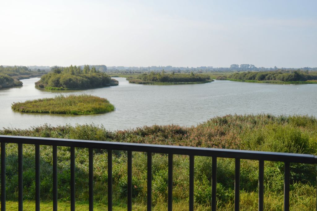 Uitzicht Amerongse Bovenpolder