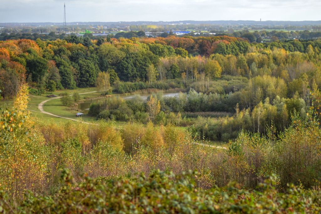 Mooie uitzichtpunten Utrechtse Heuvelrug: Kwintelooijen