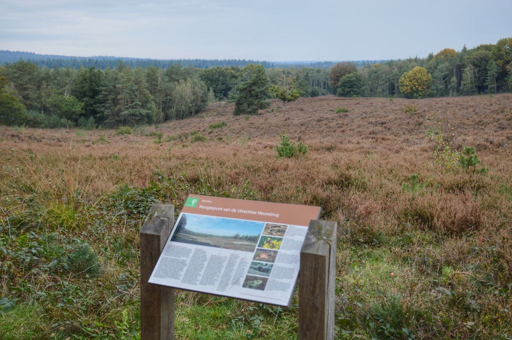 Elsterkop Amerongse Bos