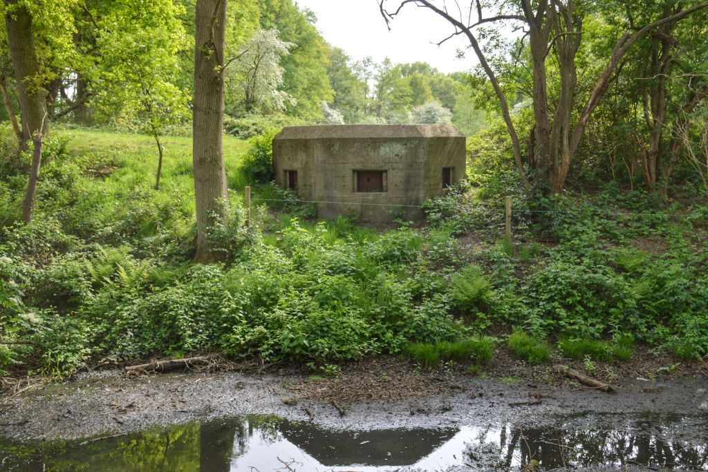 Verscholen bunkers Grebbelinie Renswoude