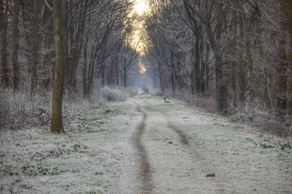 Klompenpaden Utrecht: Woudenberg