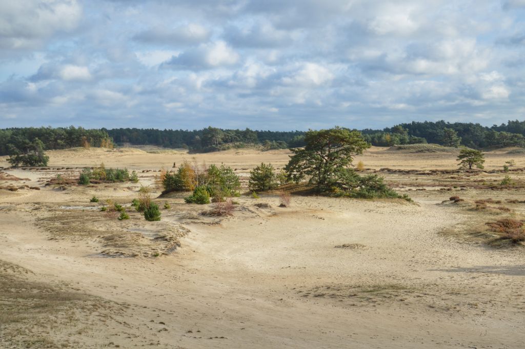 Wandelroutes Hulshorsterzand