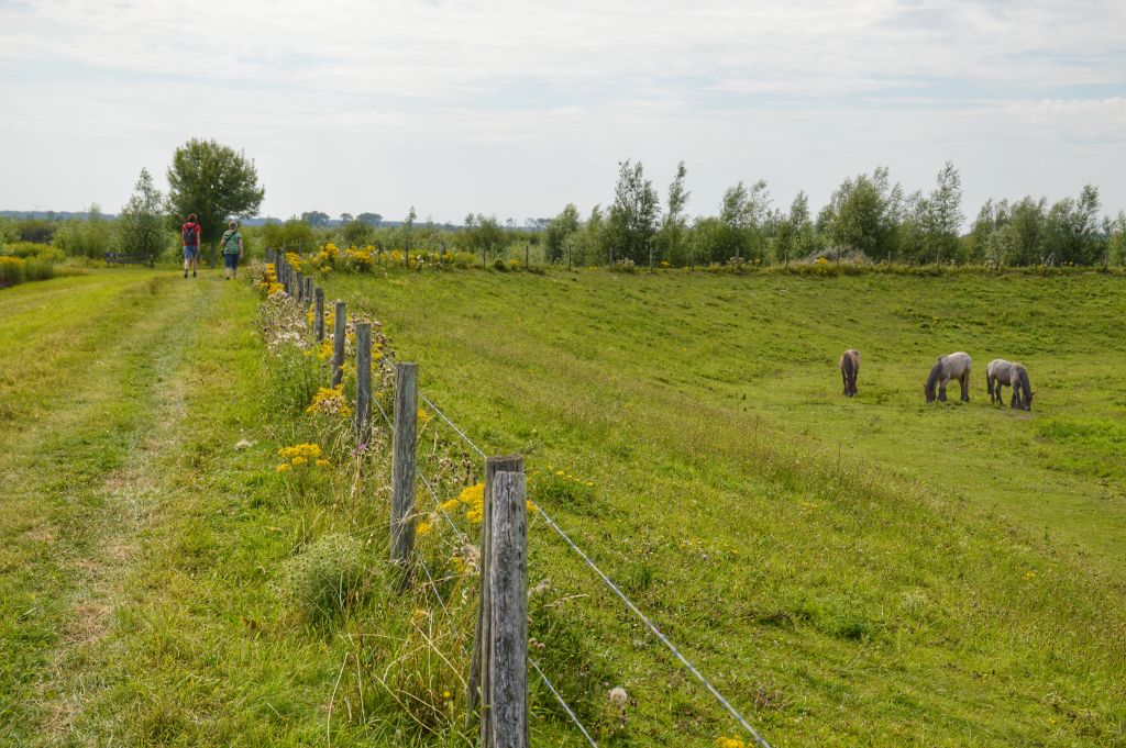 Wandelroutes Tiengemeten