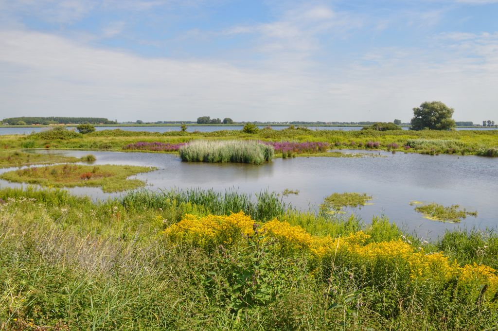 Natuureiland Tiengemeten