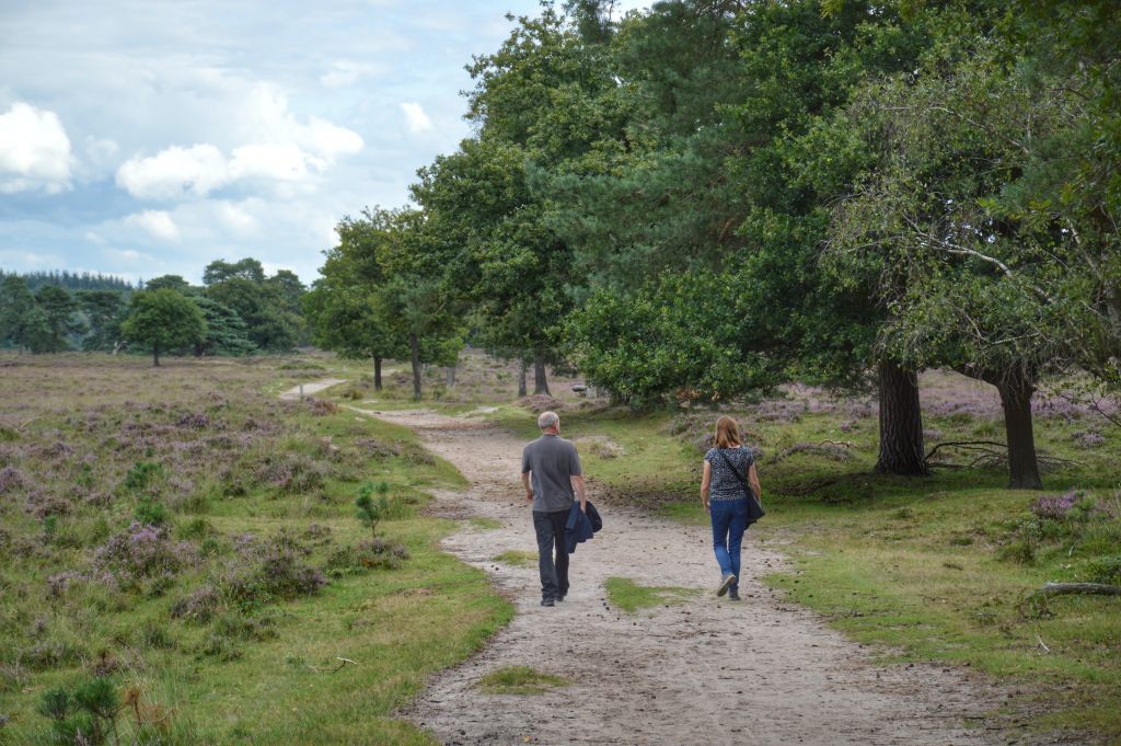 Wandelen Leersumse Veld