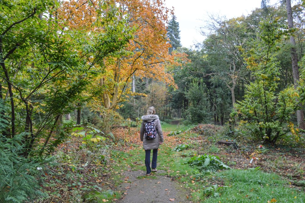 Landgoed Schovenhorst