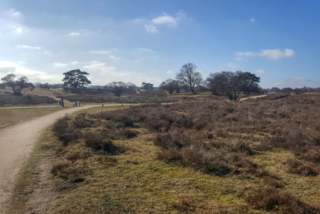 Uitzicht Theehuis 't Bluk op de Zuiderheide