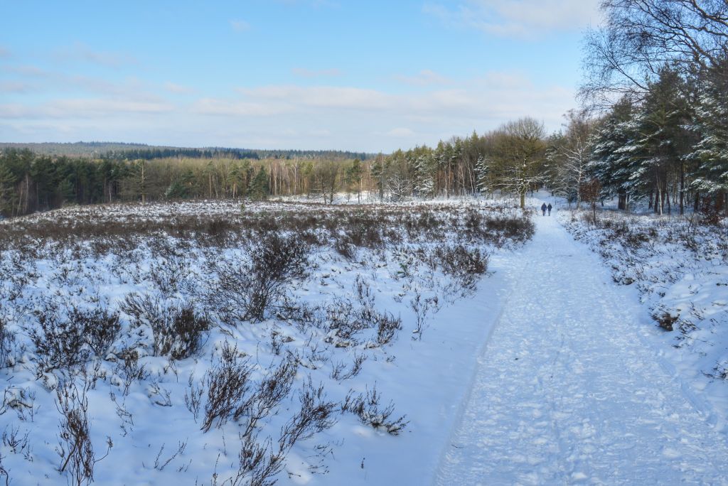 De Elsterkop in de sneeuw