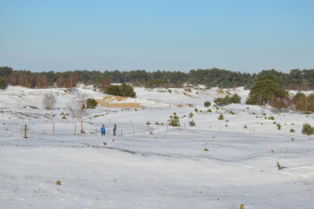 Wekeromse Zand in de sneeuw
