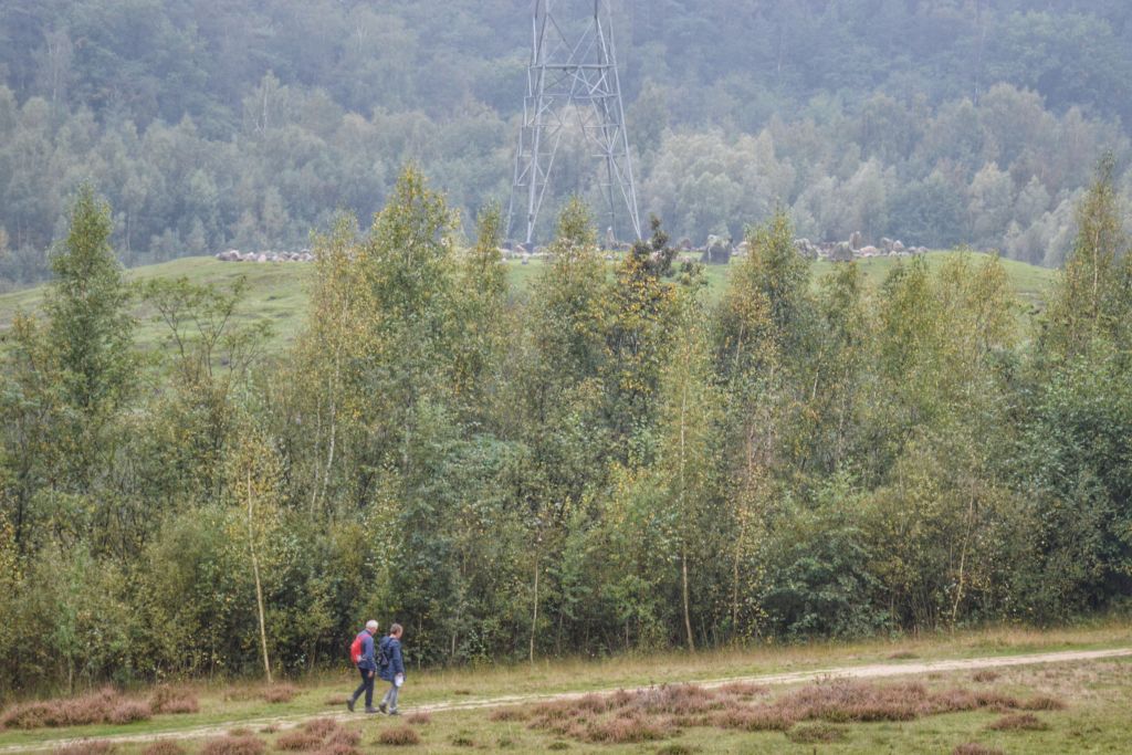 Wandelen rond het Zwerfsteneiland Maarn
