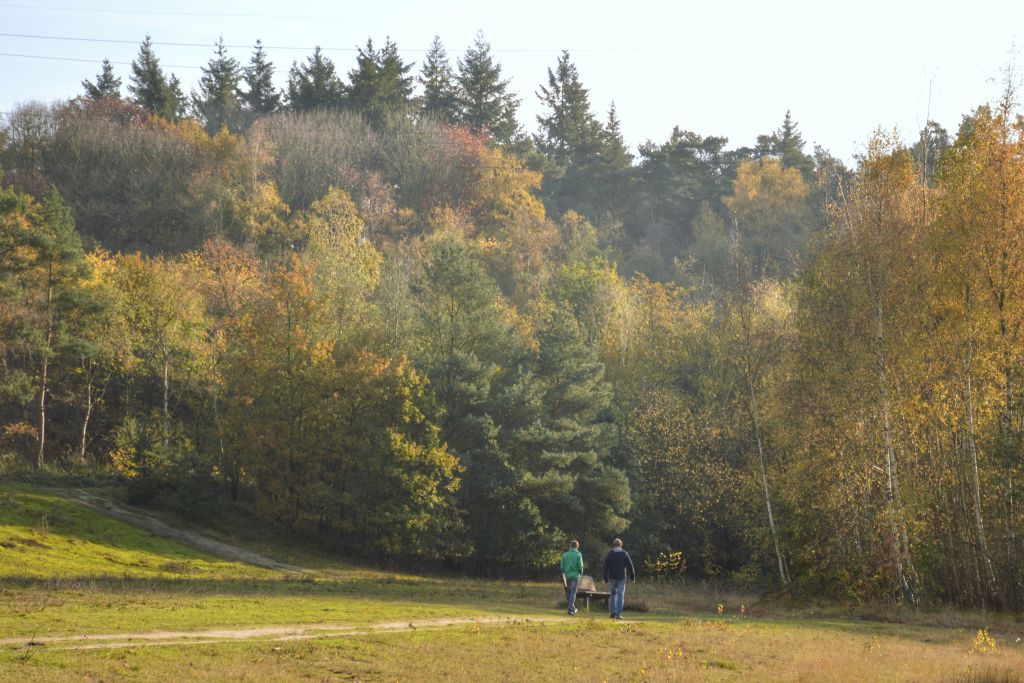 Wandelen Zanderij Maarn