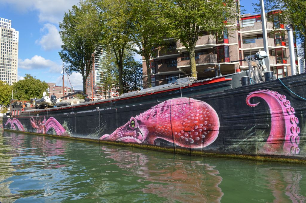 rotterdam architectuur boottocht - leuvehaven