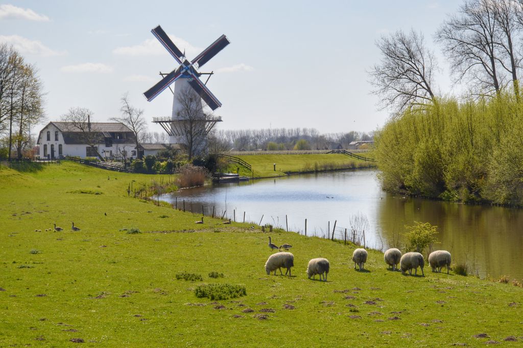 Molen de Vlinder in Deil