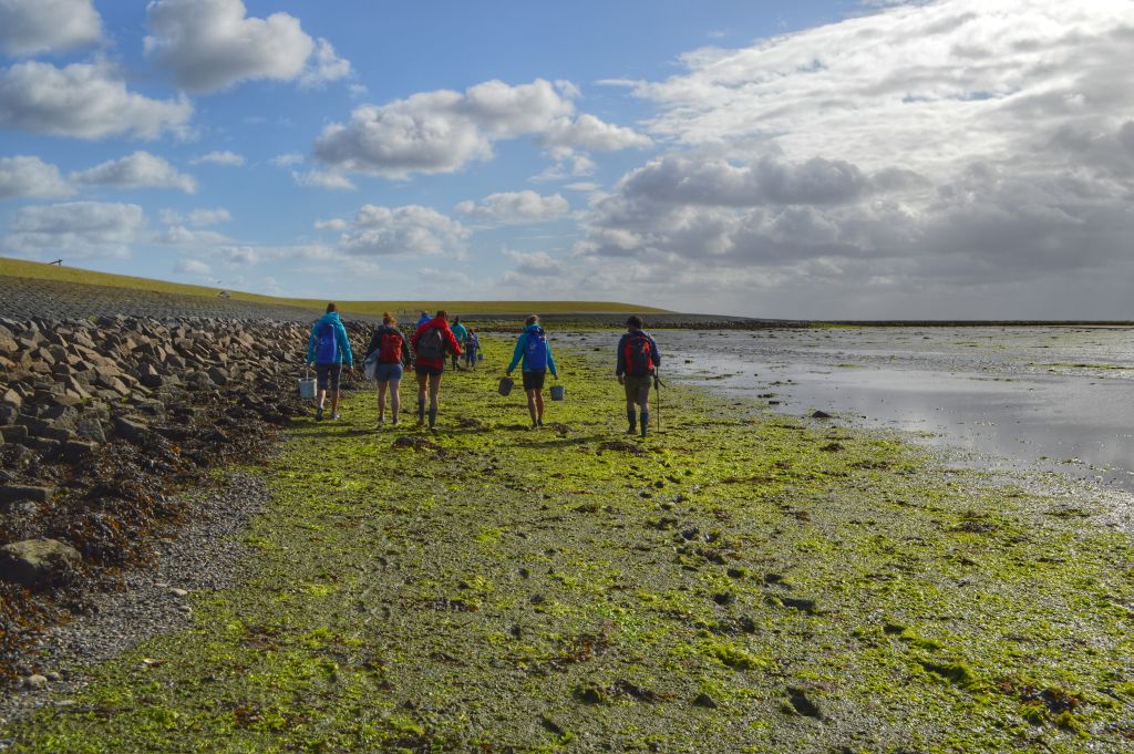 wadlopen terschelling