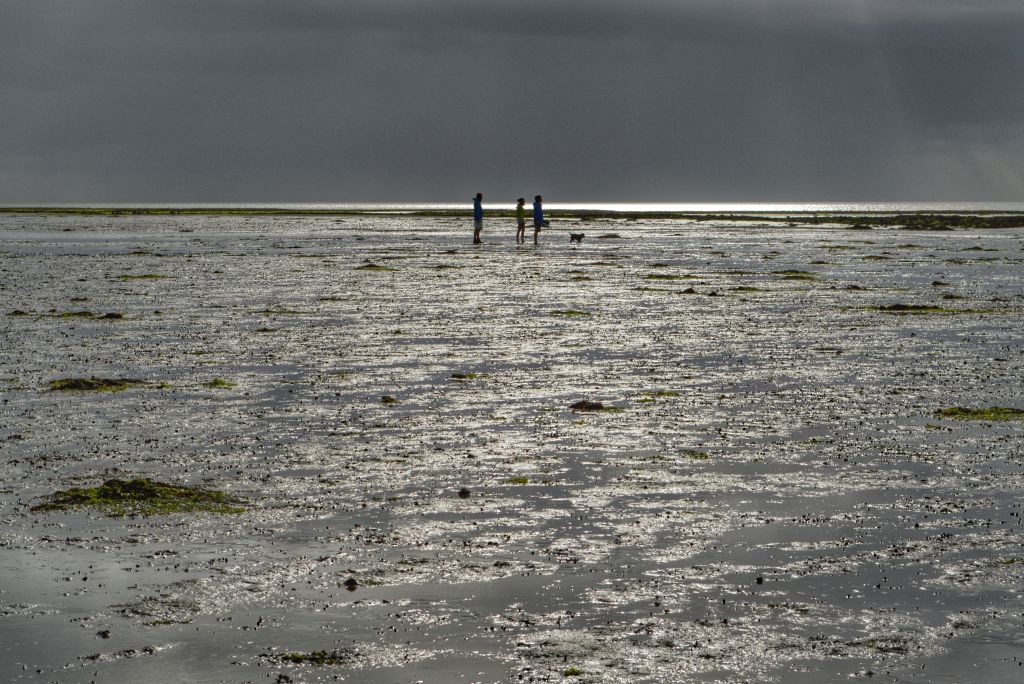 wadlopen terschelling