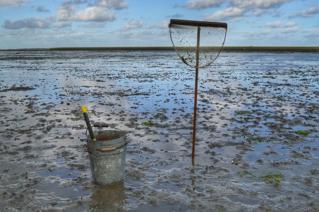 wadlopen terschelling