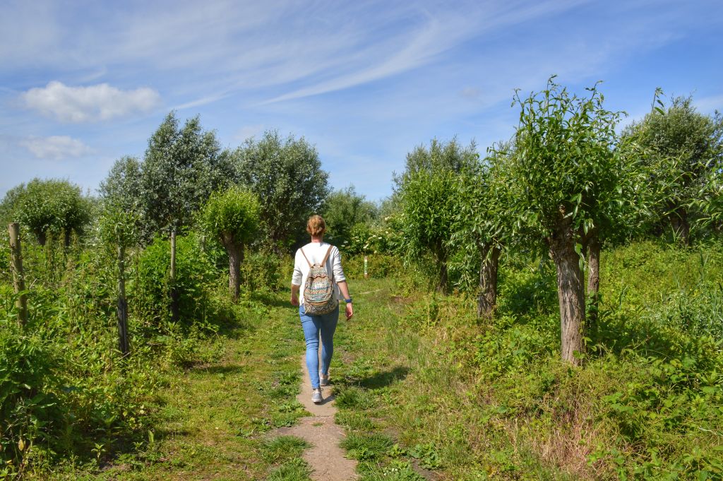 Buitenmuseum de Pannekoek - Biesbosch