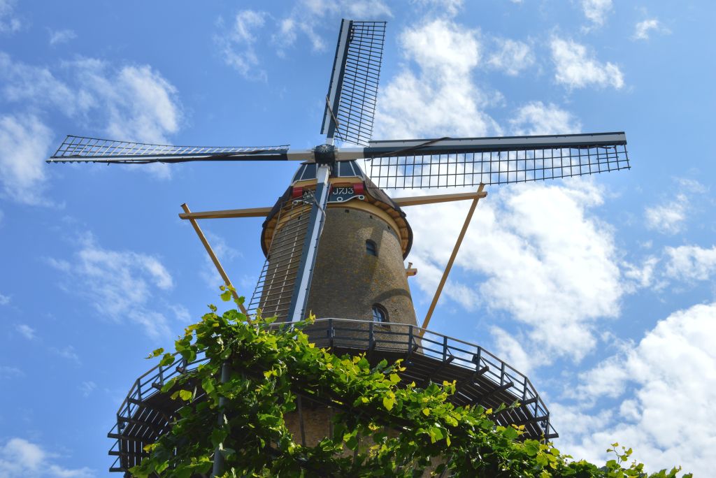 Molen Dordrecht
