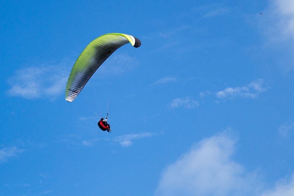 vliehord expres Vlieland