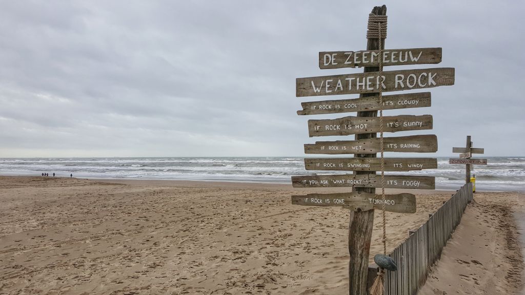 De zeemeeuw Noordwijk
