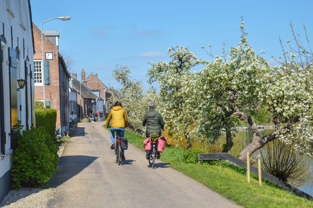 Mooie fietsroutes langs rivieren: de Lingeroute