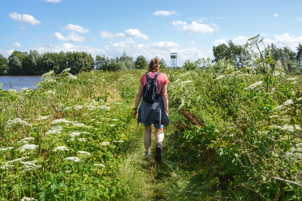 Natuurgebied Willeskop