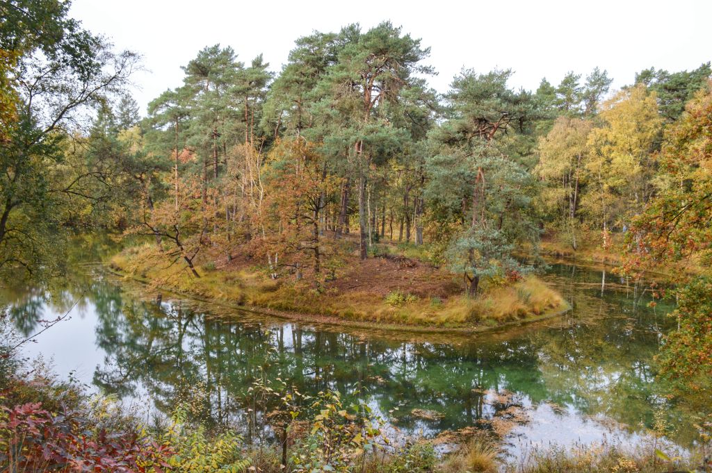Vijver Landgoed Heidestein - Zeist