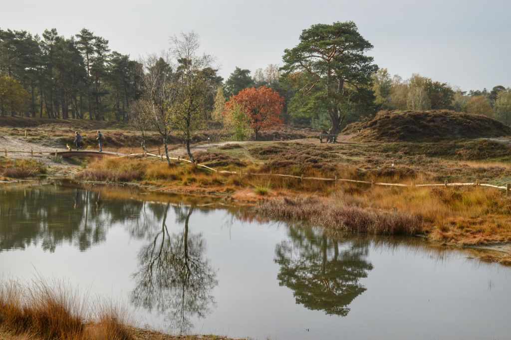 Bosmeertje Heidestein