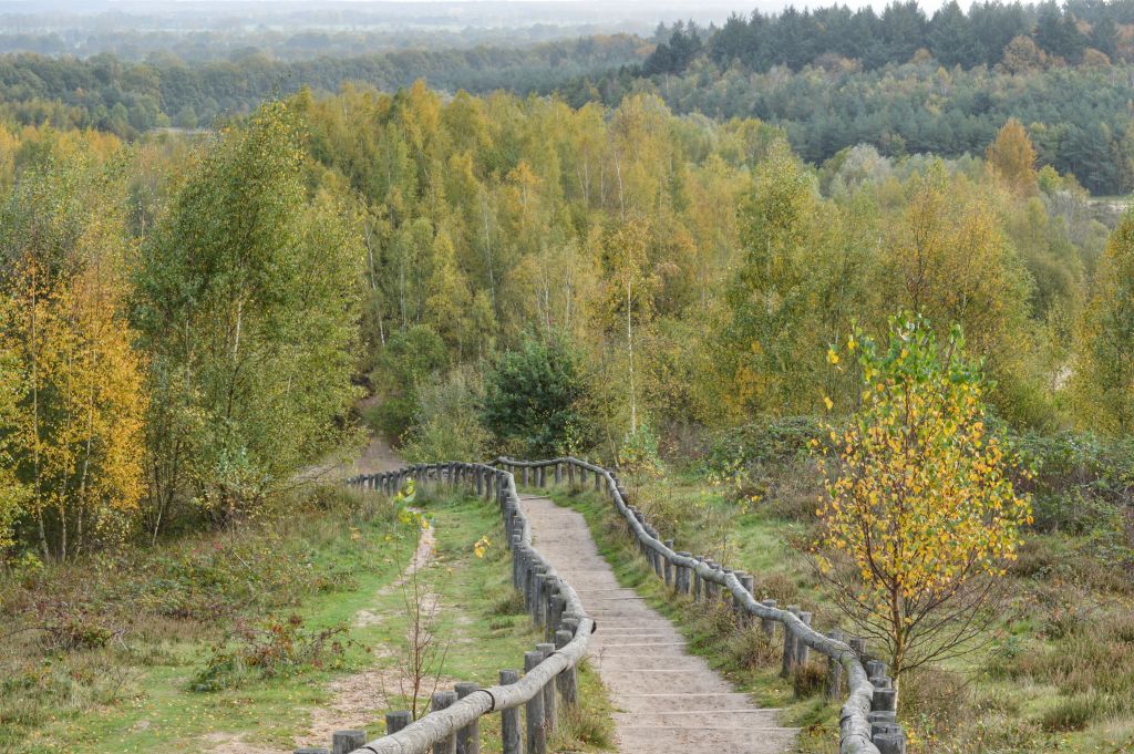 Natuurgebied Kwintelooijen - Rhenen