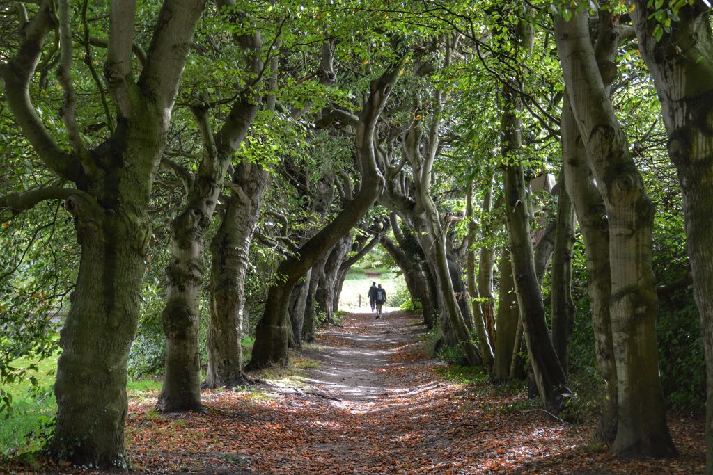 Kasteeltuin Amerongen