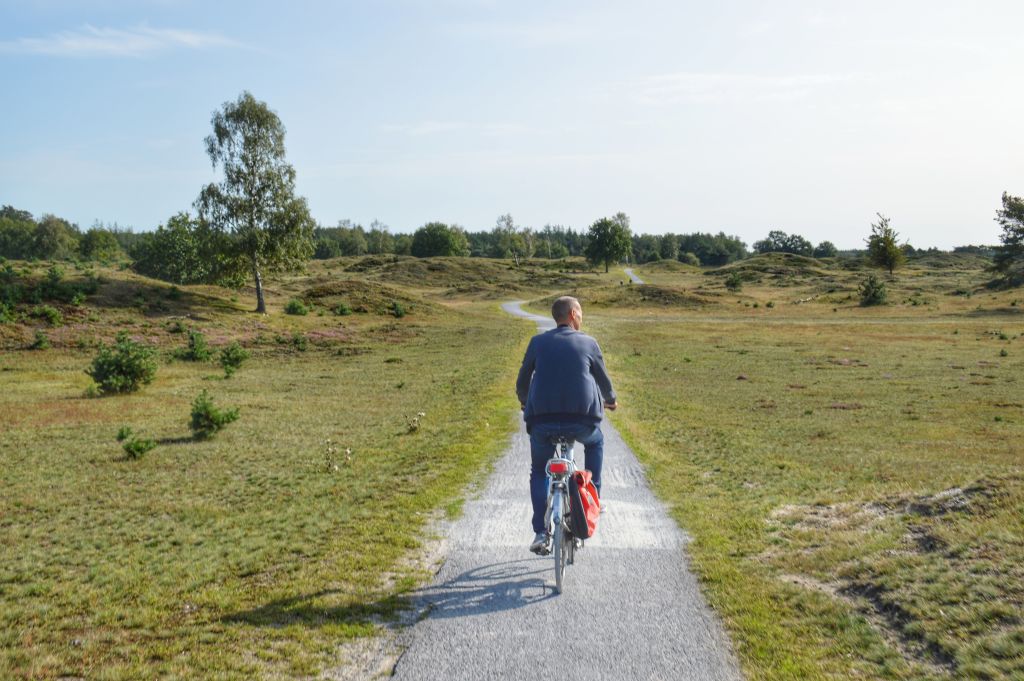 Fietsen Drents-Friese Wold