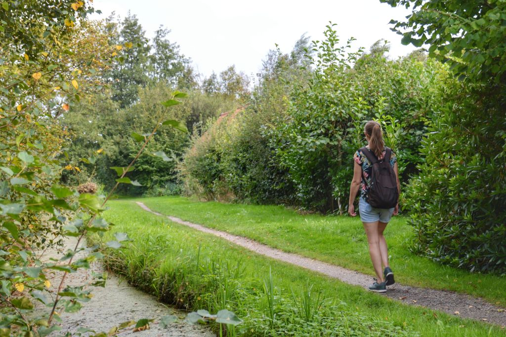 Wandelen in de Rottige Meente