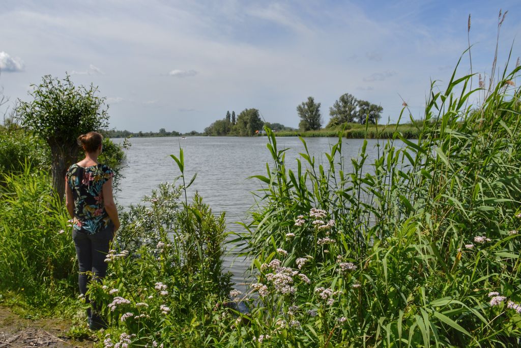 Nationaal Park de Biesbosch