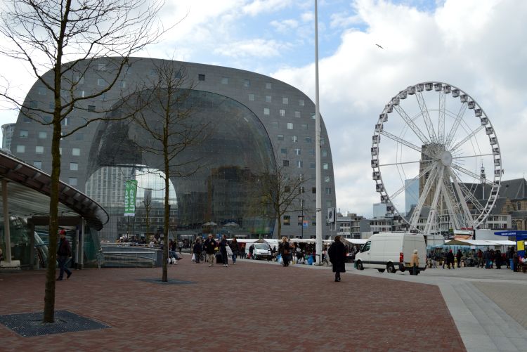 stadswandeling rotterdam