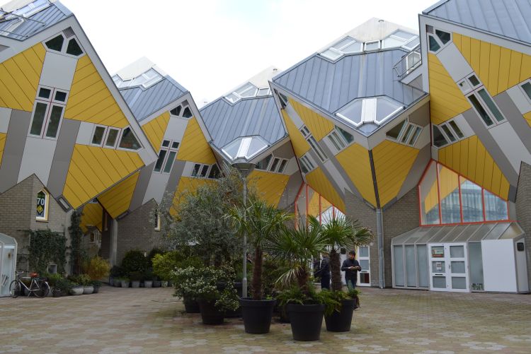 stadswandeling rotterdam