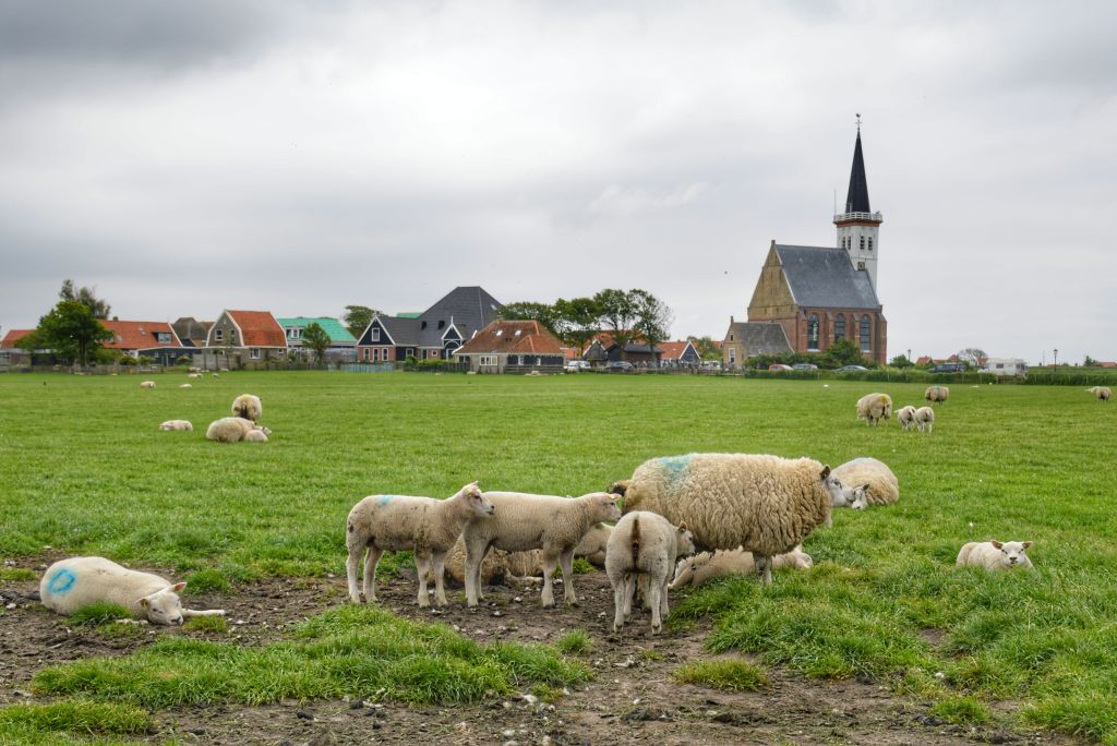 Den Hoorn Texel