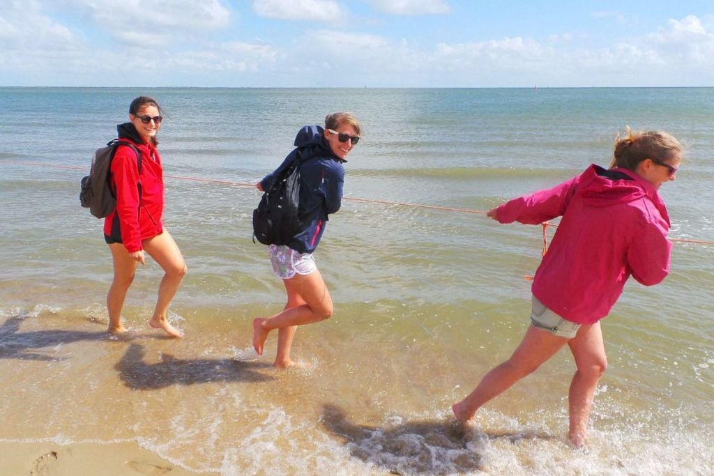 tips vlieland ontdekken - korren