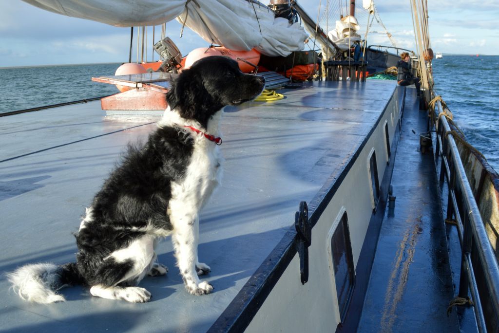 tips vlieland ontdekken - horizontoer